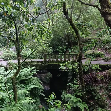 Апартаменты Tulip Фуншал