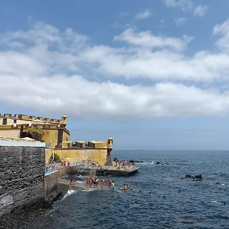 Tulip Апартаменты *