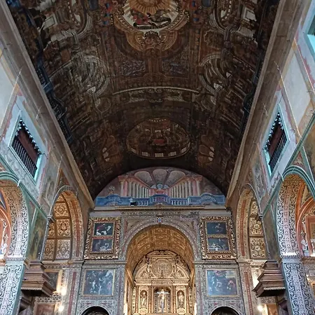 Tulip * Фуншал