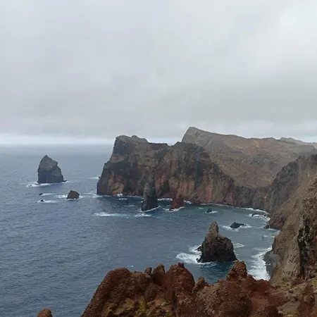 Апартаменты Tulip *