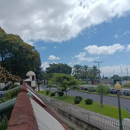 Апартаменты Tulip *