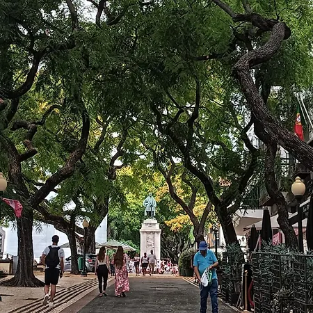 Tulip Апартаменты Фуншал