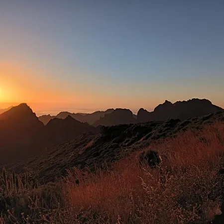 Апартаменты Tulip Фуншал