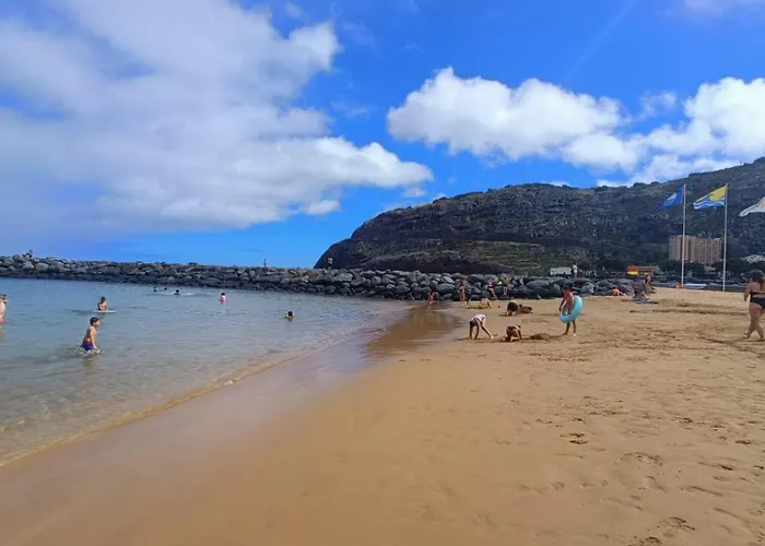 Tulip By Mercado Dos Lavradores Com Ac *