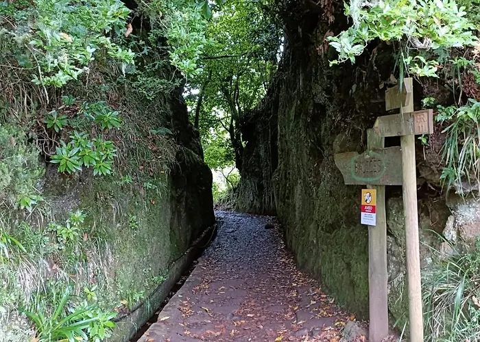 Tulip By Mercado Dos Lavradores Com Ac *