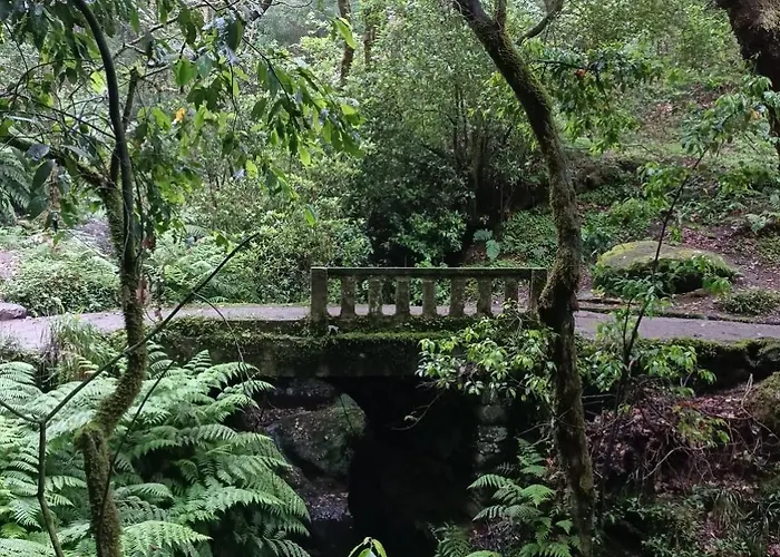 Appartamento Tulip By Mercado Dos Lavradores Com Ac Funchal (Madeira)