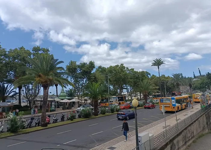 Tulip By Mercado Dos Lavradores Com Ac