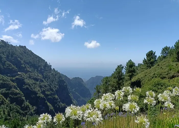 Appartamento Tulip By Mercado Dos Lavradores Com Ac