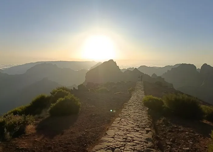 Tulip By Mercado Dos Lavradores Com Ac Funchal (Madeira)