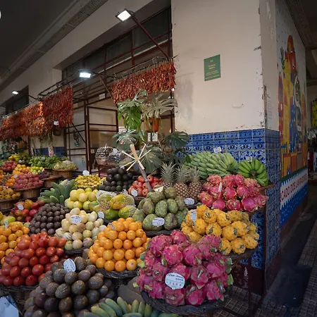 Tulip * Funchal (Madeira)