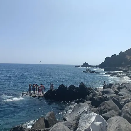 Tulip * Funchal (Madeira)