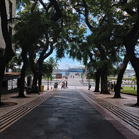 Tulip Apartments Apartamentos Com 2 Quartos Perto Do Mercado Com Ac *