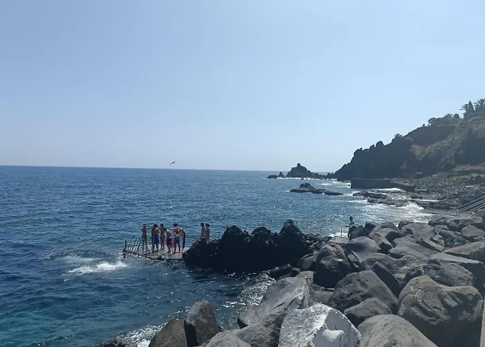 Tulip By Mercado Dos Lavradores Com Ac * 丰沙尔