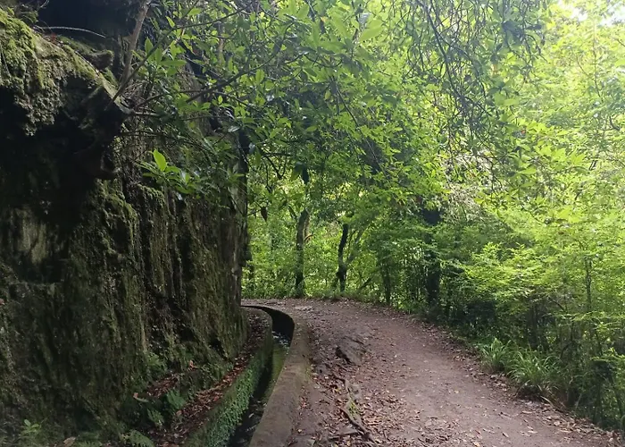 Tulip By Mercado Dos Lavradores Com Ac 公寓 *