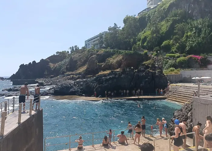 Tulip By Mercado Dos Lavradores Com Ac *