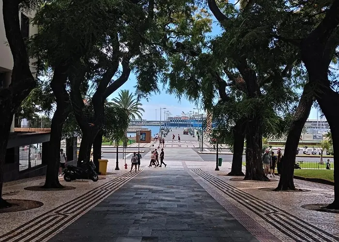 Tulip By Mercado Dos Lavradores Com Ac *