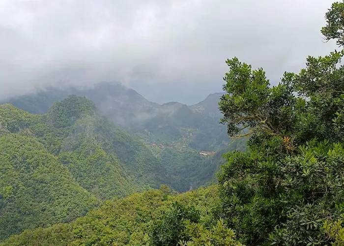Tulip By Mercado Dos Lavradores Com Ac * 丰沙尔