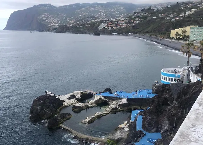 Tulip By Mercado Dos Lavradores Com Ac *