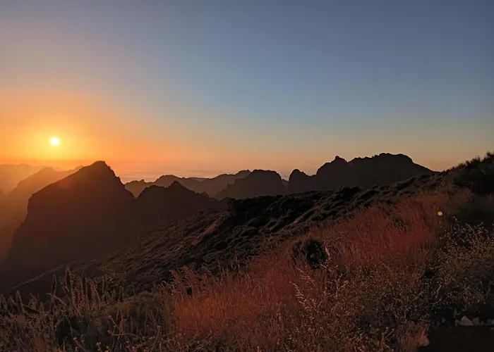 公寓 Tulip By Mercado Dos Lavradores Com Ac 丰沙尔