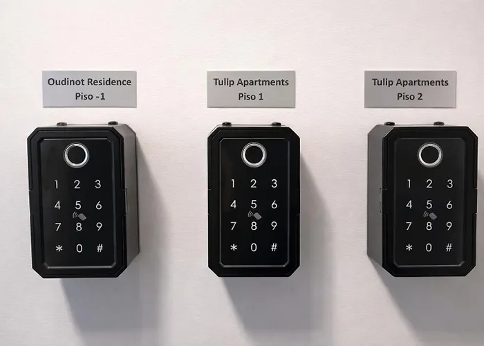 Tulip By Mercado Dos Lavradores Com Ac